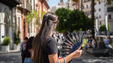 Una mujer abanica mientras pasea. A 05 de julio de 2024, en Sevilla (Andalucía, España). Andalucía afronta este martes la primera jornada de la segunda ola que se extenderá hasta el jueves 25 de julio, tras la finalización de la primera ola de calor del verano el pasado día 19. En este contexto, la Agencia Estatal de Meteorología (Aemet) ha activado alerta naranja por altas temperaturas en cinco provincias andaluzas --Córdoba, Granada, Huelva, Jaén y Sevilla-- así como aviso amarillo en Cádiz.
23 JULIO 2024
María José López / Europa Press
23/07/2024