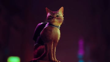 Juega como un gato del futuro en Stray para PS5