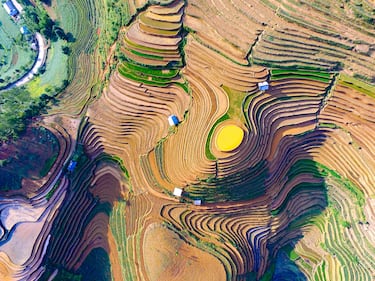 Campo de arroz en terrazas en temporada de riego desde arriba en Vietnam.
