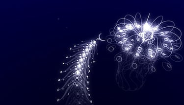 Journey Collector's Edition, Impresiones