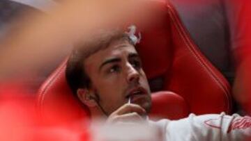 Fernando Alonso.