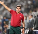 Fernando Diniz ya no es el entrenador de Marcelo