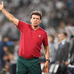 Fernando Diniz ya no es el entrenador de Marcelo