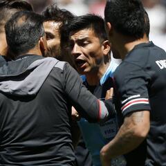 "Vamos a solicitar el máximo de sanción para Patricio Polic"