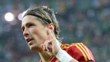 Fernando Torres, delantero de la selecci&oacute;n espa&ntilde;ola