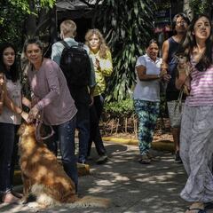 El Sismológico Nacional reporta más de 303 réplicas tras sismo de 7.5 grados