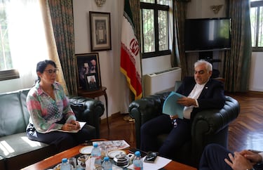 Reza Zabib, embajador de Irán: “Si tuviéramos o quisiéramos tener capacidad nuclear en el futuro, lo anunciaríamos”