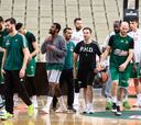 El Panathinaikos recula y continuará en la Euroliga