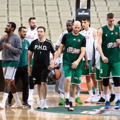 El Panathinaikos recula y continuará en la Euroliga