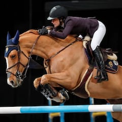 El estiércol de los caballos alumbra la hípica