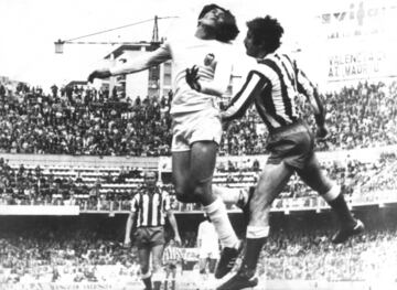 Jugó 76 partidos con el Betis y 71 con el Valencia. Jugó tres temporadas con el Betis, en los que marcó 29 goles. Antes, en el Valencia también jugó tres campañas. Marcó 18 goles y levanta la Copa del Rey en 1978-79.
