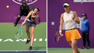 Karolina Pliskova y Caroline García pelearán por el título