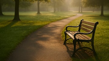 Park bench in the morning - artist's impression
