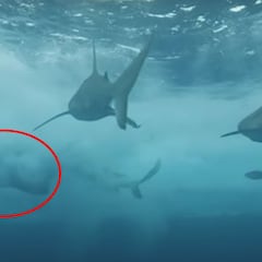 Las notícias extremas más leídas del año