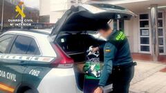 Roba una tabla de snowboard, la pone a la venta en Wallapop y la encuentra la Guardia Civil