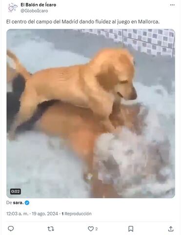 Los memes más divertidos del fin de semana