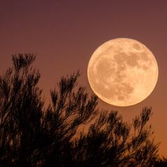 Calendario lunar de agosto 2021: ¿cuáles son las fases de la luna y cuándo habrá luna llena este mes?
