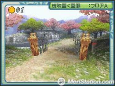 Riz Zoawd, Impresiones