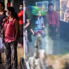 Pico y Cédula en Medellín del 6 de julio al 2 de agosto: dónde aplica, calendario y dígitos