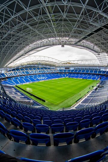 El estadio de la Real Sociedad fue inaugurado en el año 1993, con una capacidad de 40.000 espectadores. Actualmente se llama Reale Arena, por motivos de patrocinio. Durante las dos primeras décadas del siglo XXI ha sido utilizado ocasionalmente por los equipos rugby vasco-franceses Biarritz Olympique y Aviron Bayonnais. También eventos de atletismo se han hecho en Anoeta. Destacar que, tras el primer partido de fútbol contra el Real Madrid, el estadio realizó una fiesta para celebrar su creación, donde cantaron artistas como Luz Casal, Oskorri y la Orquesta Mondragón. Otros artistas como Pink Floyd, U2, The Rolling Stones, Bruce Springsteen o Bon Jovi han actuado en Anoeta.