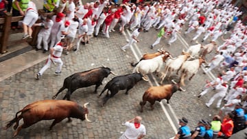 Multitud de personas corren durante el primer encierro de las Fiestas de San Fermín 2023, con toros de Puerto de San Lorenzo, a 7 de julio de 2023, en Pamplona, Navarra (España). Las fiestas en honor a San Fermín, patrón de Navarra, comenzaron ayer con el tradicional chupinazo y se prolongan hasta el 14 de julio. Durante su transcurso hay un total de ocho encierros que comienzan todos los días a las ocho de la mañana. Además, el Ayuntamiento de la ciudad ha preparado un repertorio de conciertos, verbenas, fuegos artificiales, exposiciones, animación de calle y actividades para la ciudadanía y visitantes. Esta fiesta que atrae a millones de visitantes cada año por su ambiente festivo y sus populares encierros, está declarada de Interés Turístico Internacional.
07 JULIO 2023;PAMPLONA;NAVARRA;TOROS;SAN FERMINES;2023
Eduardo Sanz / Europa Press
06/07/2023