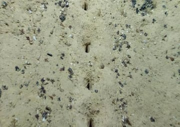 Agujeros encontrados en el lecho marino del Atlántico alineados en línea recta