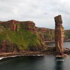 Científicos avistan a una esquiva criatura marina en las profundidades del norte de Escocia: “Era una posición afortunada”