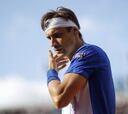 David Ferrer: "Me he rendido"