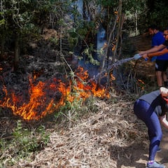 Alerta Roja por incendio forestal: qué comunas se están viendo afectadas y qué medidas se están tomando