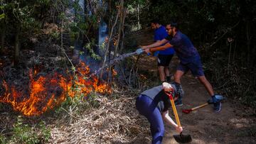 Alerta Roja por incendio forestal: qué comunas se están viendo afectadas y qué medidas se están tomando