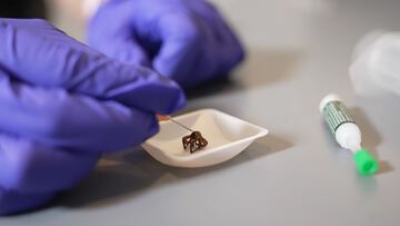 araña robot zombi ciborg cyborg experimento