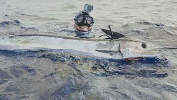 Justin Lee logró capturar un pez aguja picudo (shortbill spearfish) de 14,4 kg,