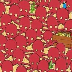 Reto visual: ¿Puedes encontrar el pez oculto entre los pulpos?