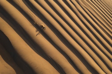 This image is free for editorial purposes only when used in relation to Red Bull Illume. Please always add the photographer credit: ? Name of photographer / Red Bull Illume Photographer: Jb Liautard, Athlete: Kilian Bron, Location: Nazca, Peru // Red Bull Illume 2023 // SI202310090722 // Usage for editorial use only //