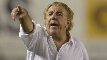 Reinaldo Merlo, DT de Fuerza Amarilla