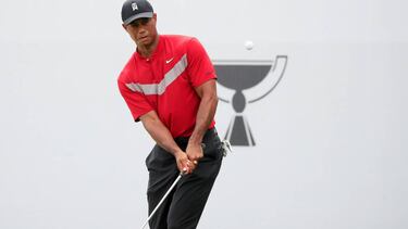 PGA Tour: Who are the past winners of the FedExCup playoffs?