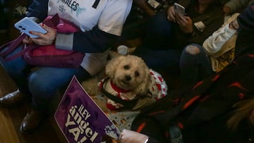 La Ley Ángel, iniciativa legislativa sancionada por el presidente, endurece las penas para quienes cometen delitos contra los animales. (Colprensa - Catalina Olaya )