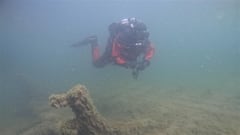 Spectacular find: the ship lost 138 years ago emerges from Lake Michigan
