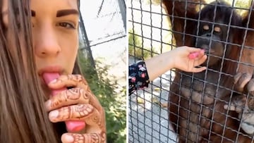 Indignación mundial por el repugnante acto de una luchadora profesional de MMA a un orangután