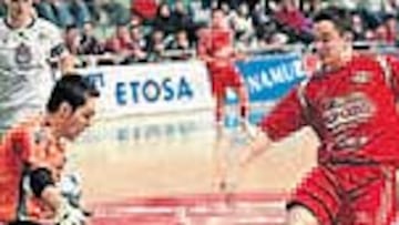 ElPozo lleva 13 victorias.