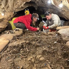 Encuentran en España una flecha incrustada en una costilla humana de hace más de 4.000 años