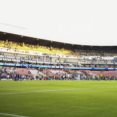 Dan de alta a otro de los lesionados tras la gresca en La Corregidora