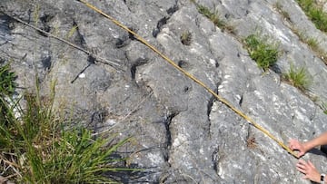 Escaladores encuentran unas ranuras y se topan con un hallazgo marino de hace 80 millones de años