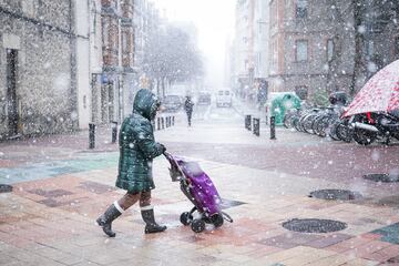 Una mujer con un carro de la compra por una calle de Vitoria-Gasteiz mientras nieva. La ciudad de Vitoria ha amanecido cubierto de un manto blanco de nieve después de que bajara la cota de nieve a los 200 metros. La nieve y el hielo han provocado problemas en las carreteras alavesas y se han cerrado puertos.
