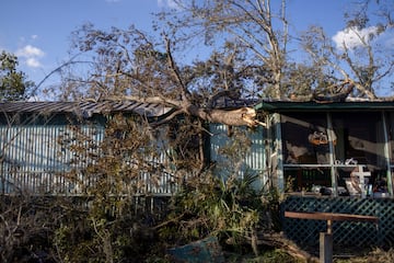 A fallen tree rests on a house after Hurricane Helene.