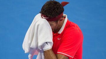 Del Potro es duda para el Masters de Shangai por una gripe