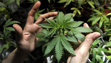 Where you can and cannot use marijuana in the US