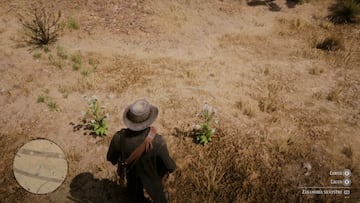 Todas las plantas de Red Dead Redemption 2