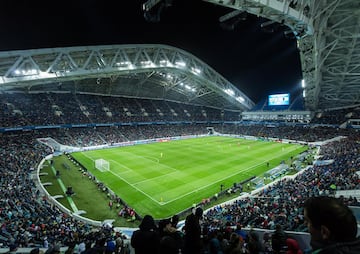 El recinto fue construido para los Juegos de Invierno del 2014 y ahí se realizaron las ceremonias de apertura y clausura. Será el único estadio techado en la Copa Confederaciones, con una estructura de vidrio instalada que permite el ver el mar Negro.