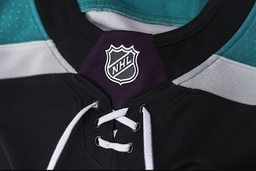 Los Mighty Ducks renacen para la temporada 2019 de la NHL